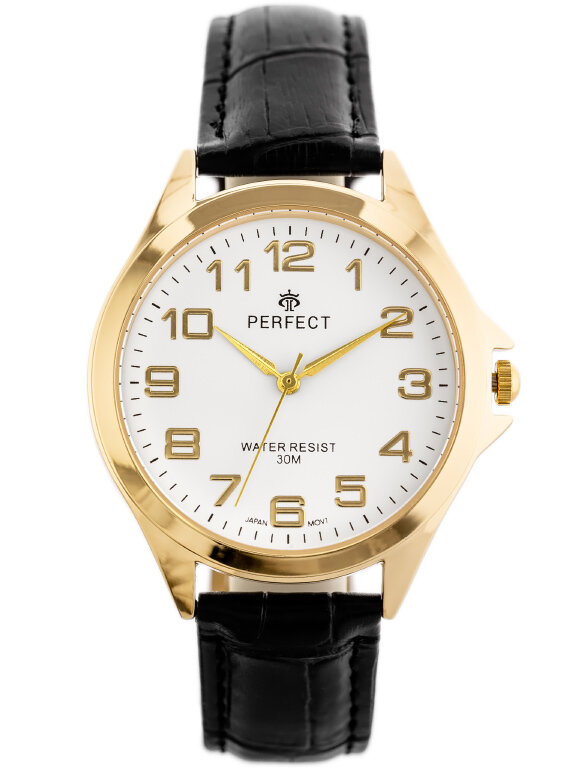 Pánske hodinky PERFECT Retro C412-F (zp334c)