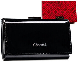 Leather & leatherette wallet RFID 4U CAVALDI PX23-JMP