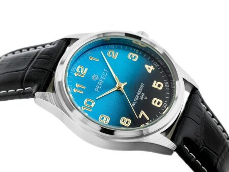 MEN'S WATCH PERFECT C425 - CLASSIC (zp284i)