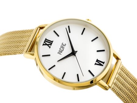 PACIFIC WOMEN'S WATCH X6172 - gold (zy657b)