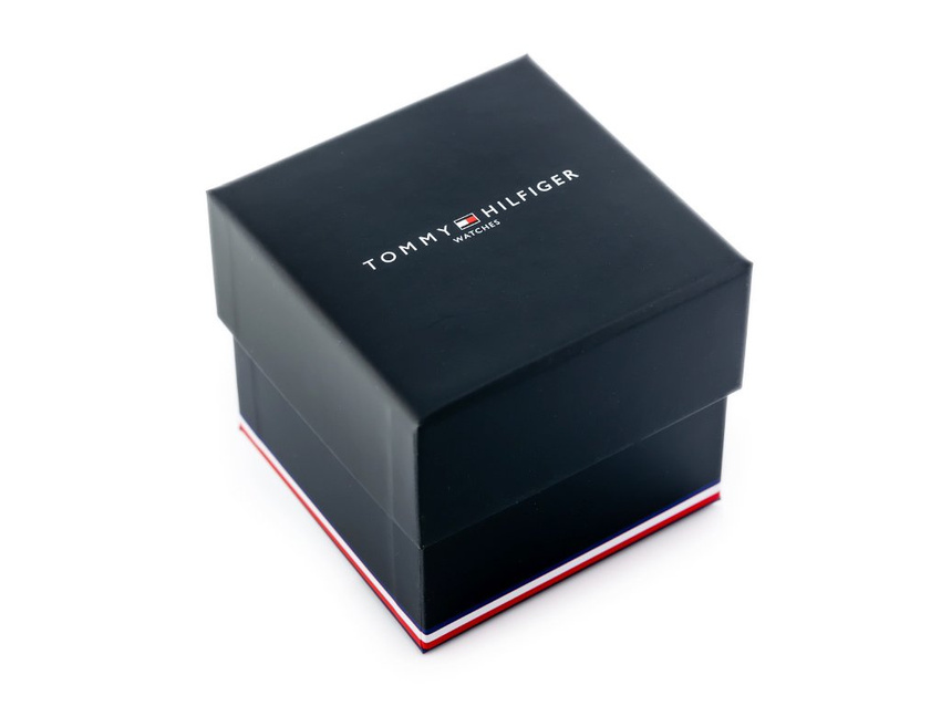 ZEGAREK MĘSKI TOMMY HILFIGER 1791854 ASHER (zf040a)