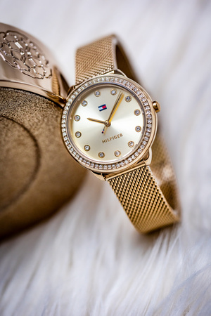 TOMMY HILFIGER 1782699 Demi ladies' watch (zf609a) + BOX