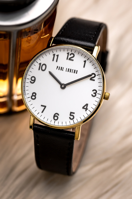 PAUL LORENS MALE WATCH - PL11989A5-3A1 (zg370d) + BOX