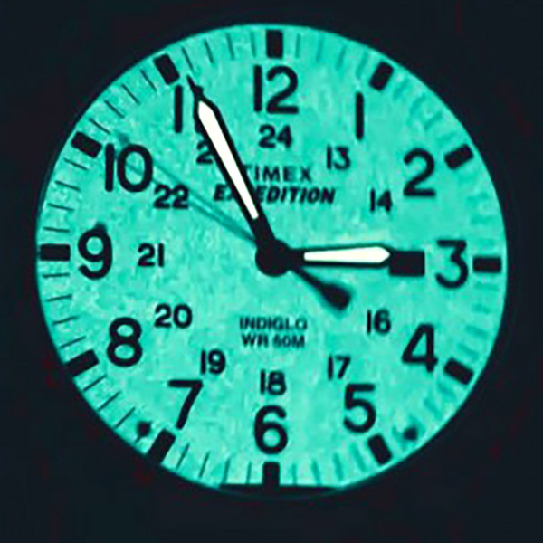 TIMEX EXPEDITION MEN'S WATCH TW4B12500 (zt106g)