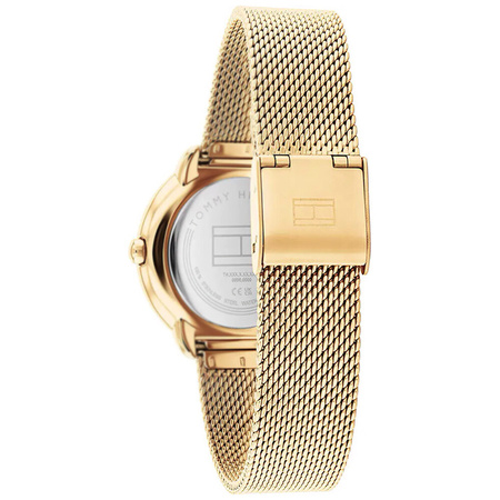 TOMMY HILFIGER 1782699 Demi ladies' watch (zf609a) + BOX