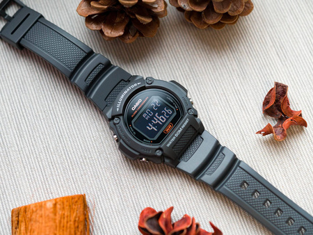 Zegarek Męski Casio W-219H-8BVEF (zd207g) + BOX