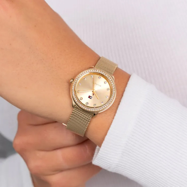 TOMMY HILFIGER 1782699 Demi ladies' watch (zf609a) + BOX