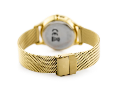 G. ROSSI WATCH - G.R10317B9-4D1 (zg685d) + BOX