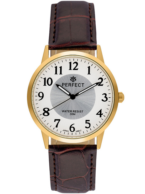 ZEGAREK MĘSKI PERFECT C411Y-17 (zp391d)
