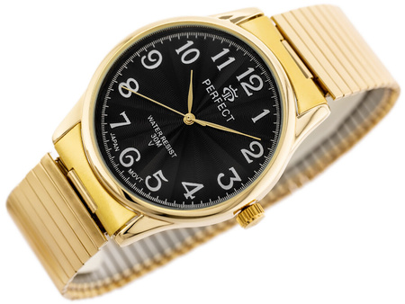 MEN'S WATCH PERFECT X421 (zp331d) - rubber band