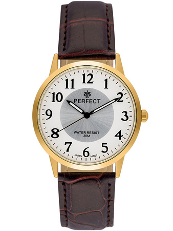 ZEGAREK MĘSKI PERFECT C411Y-17 (zp391d)