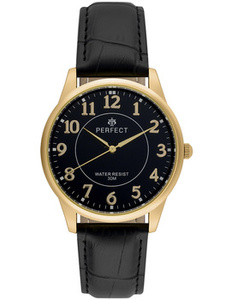 ZEGAREK MĘSKI PERFECT C426F-10 (zp289g)