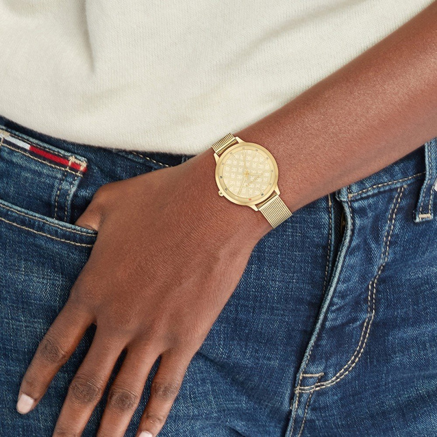 TOMMY HILFIGER WOMEN'S WATCH 1782588 - Iris (zf607a) + BOX
