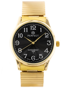 MEN'S WATCH PERFECT X421 (zp331d) - rubber band