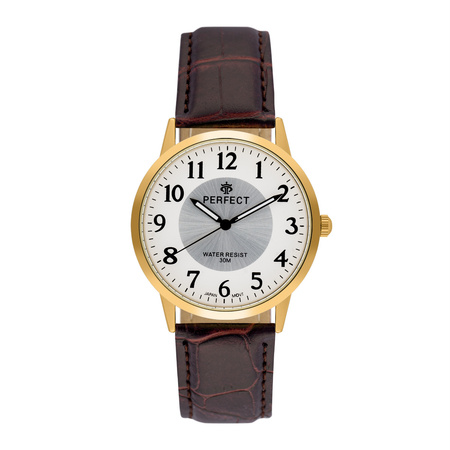 ZEGAREK MĘSKI PERFECT C411Y-17 (zp391d)