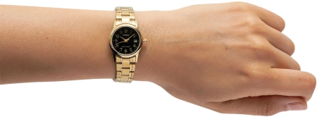 Casio LTP-V002G-1B Women's Watch + BOX
