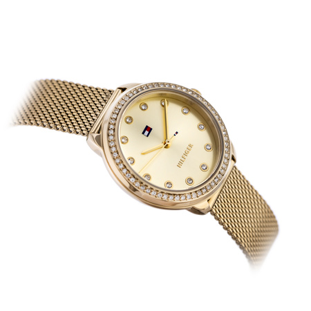 TOMMY HILFIGER 1782699 Demi ladies' watch (zf609a) + BOX