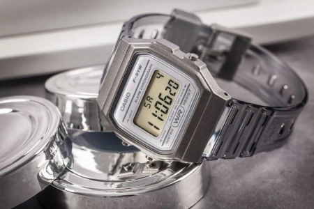 Unisex Casio Retro Vintage F-91WS-8DF(zd648d) watch