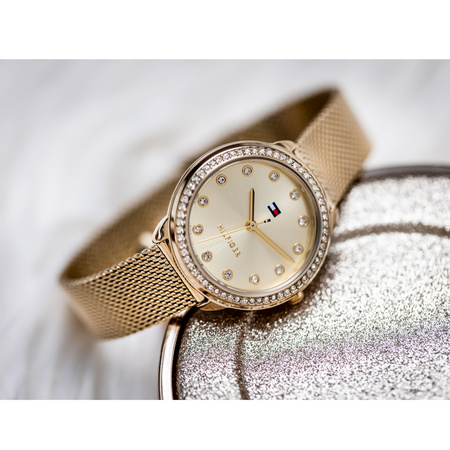 TOMMY HILFIGER 1782699 Demi ladies' watch (zf609a) + BOX