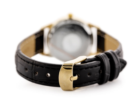 ZEGAREK DAMSKI PERFECT C311-W (zp845d)