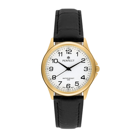 ZEGAREK MĘSKI C425E-25 (zp392c)