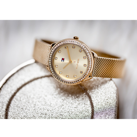 TOMMY HILFIGER 1782699 Demi ladies' watch (zf609a) + BOX