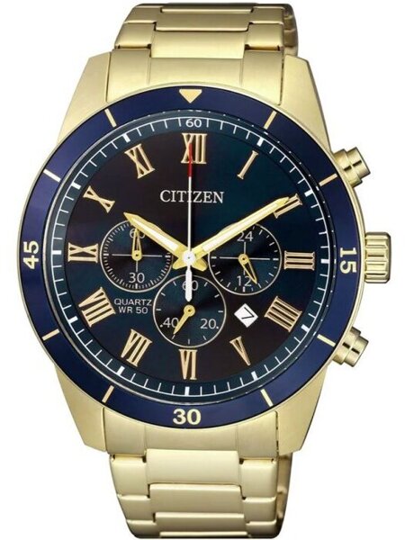 Zegarek Citizen AN8169-58L