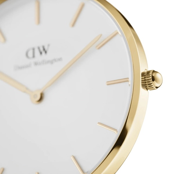 ZEGAREK DAMSKI DANIEL WELLINGTON DW00100348 - Petite Evergold 32mm